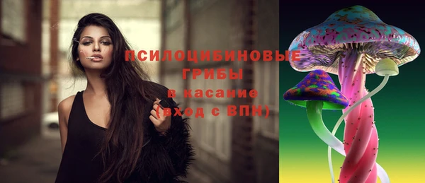 бошки Алексин