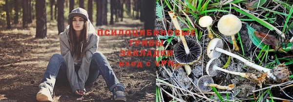 кокаин премиум Алексеевка