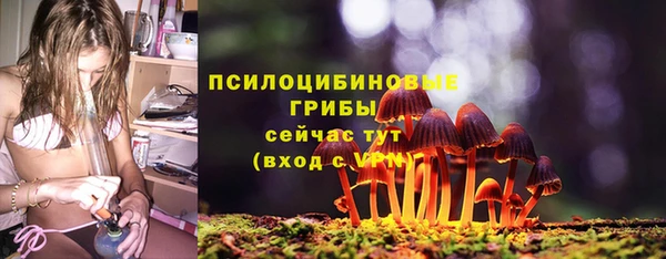 ALPHA PVP Алзамай