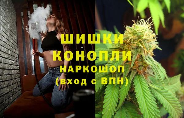 бошки Алексин