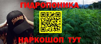 гидропоника Лесосибирск