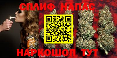 гидропоника Ливны